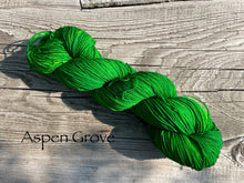 Load image into Gallery viewer, Twist of Fate Socks Kit