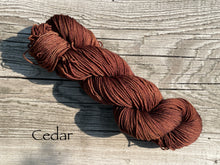 Load image into Gallery viewer, Twist of Fate Socks Kit