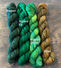 Load image into Gallery viewer, Build Your Own 3, 5, or 7 Skein Gradient Mountain Sock Shawl Kit