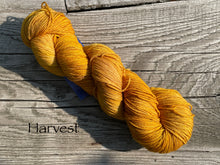 Load image into Gallery viewer, Twist of Fate Socks Kit