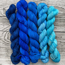 Load image into Gallery viewer, Mini Skeins Set Singing the Mountain Blues