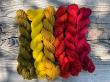 Load image into Gallery viewer, Mini Skeins Set Autumn Harvest Gradient