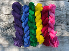 Load image into Gallery viewer, Mini Skeins Set Teton Wildflowers Gradient