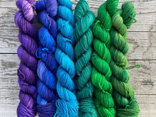 Load image into Gallery viewer, Mini Skeins Set Pacific Northwest