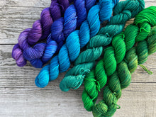Load image into Gallery viewer, Mini Skeins Set Pacific Northwest