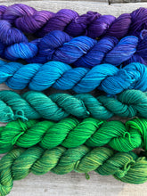 Load image into Gallery viewer, Mini Skeins Set Pacific Northwest