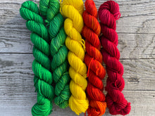 Load image into Gallery viewer, Mountain Sock Five Skein Gradient Yarn Kit Summer Glory