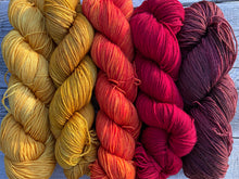 Load image into Gallery viewer, Mountain Sock Five Skein Gradient Yarn Kit Autumn Fire