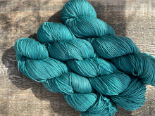 Load image into Gallery viewer, Denali Fingering Yarn Kettled Dyed Tonals
