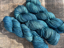 Load image into Gallery viewer, Denali Fingering Yarn Kettled Dyed Tonals