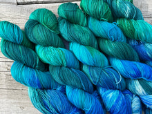 Load image into Gallery viewer, Seasons DK Jenny Lake Grand Teton National Park