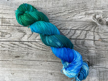 Load image into Gallery viewer, Seasons DK Jenny Lake Grand Teton National Park