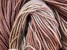 Load image into Gallery viewer, Yosemite Grizzly 399 Grand Teton National Park