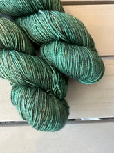 Load image into Gallery viewer, Denali Fingering Yarn Kettled Dyed Tonals
