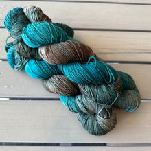 Load image into Gallery viewer, Denali Fingering Yarn Jackson Lake Grand Teton National Park