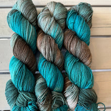 Load image into Gallery viewer, Denali Fingering Yarn Jackson Lake Grand Teton National Park