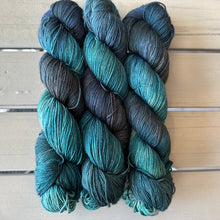 Load image into Gallery viewer, Denali Fingering Yarn Cascade Canyon Grand Teton National Park