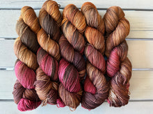 Load image into Gallery viewer, Denali Fingering Yarn Moulton Barn Grand Teton National Park