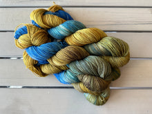 Load image into Gallery viewer, Denali Fingering Yarn Artist Point Yellowstone National Park