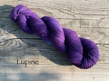 Load image into Gallery viewer, Twist of Fate Socks Kit