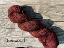 Load image into Gallery viewer, Twist of Fate Socks Kit