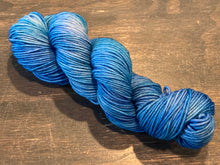 Load image into Gallery viewer, Seasons DK Blue Bird Day Tonal