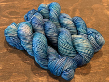 Load image into Gallery viewer, Seasons DK Blue Bird Day Tonal