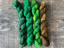 Load image into Gallery viewer, Build Your Own Mini Skeins Set

