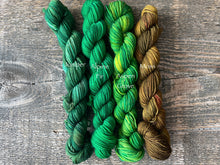 Load image into Gallery viewer, Build Your Own Mini Skeins Set