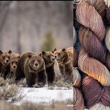 Load image into Gallery viewer, Glacier Sock Grizzly 399 Grand Teton National Park

