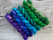 Load image into Gallery viewer, Mini Skeins Set Pacific Northwest
